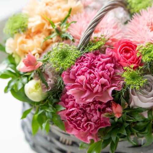 �˒Ñא����I���W�i���v���~�A�����ԃA�����W�����g�u�}�J�����v�y��̓��M�t�g�z5