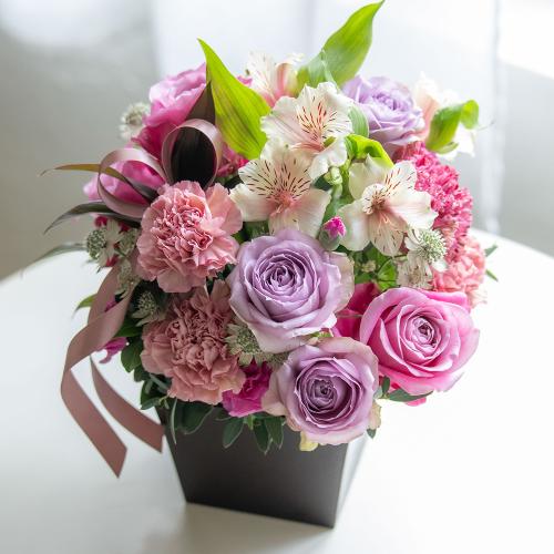 �R����v���~�A�����ԃA�����W�u�}�E�V�F���E�}�}��2026�v�y��̓��M�t�g�z