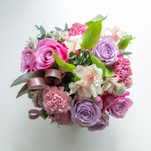 �R����v���~�A�����ԃA�����W�u�}�E�V�F���E�}�}��2026�v�y��̓��M�t�g�z2