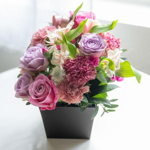 �R����v���~�A�����ԃA�����W�u�}�E�V�F���E�}�}��2026�v�y��̓��M�t�g�z3