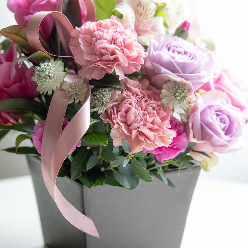 �R����v���~�A�����ԃA�����W�u�}�E�V�F���E�}�}��2026�v�y��̓��M�t�g�z4