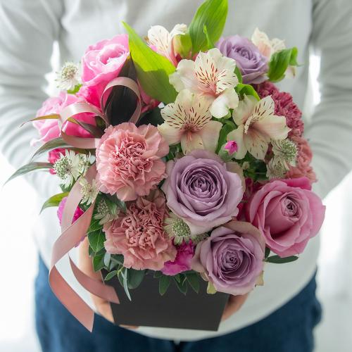 �R����v���~�A�����ԃA�����W�u�}�E�V�F���E�}�}��2026�v�y��̓��M�t�g�z6