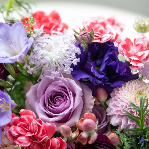 �|�����H���I���W�i���v���~�A�����ԃA�����W�u�O���C�X�v�y��̓��M�t�g�z6