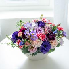 �|�����H���I���W�i���v���~�A�����ԃA�����W�u�O���C�X�v�y��̓��M�t�g�z