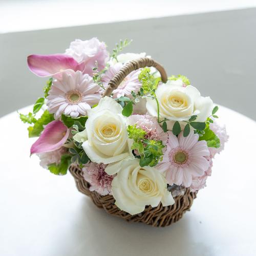 �R��c�����I���W�i�� �K�[�x���ƃJ�[�l�[�V�����̃A�����W�u�~���t�B�[���v�y��̓��v���~�A���z2