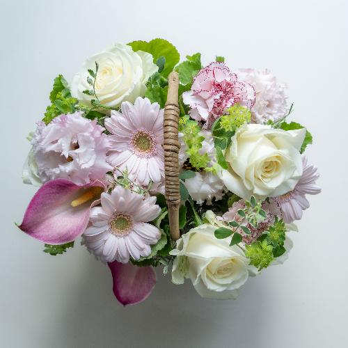 �R��c�����I���W�i�� �K�[�x���ƃJ�[�l�[�V�����̃A�����W�u�~���t�B�[���v�y��̓��v���~�A���z4