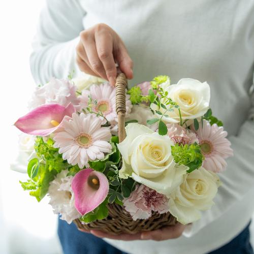 �R��c�����I���W�i�� �K�[�x���ƃJ�[�l�[�V�����̃A�����W�u�~���t�B�[���v�y��̓��v���~�A���z6