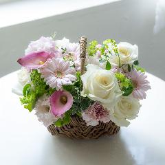 �R��c�����I���W�i�� �K�[�x���ƃJ�[�l�[�V�����̃A�����W�u�~���t�B�[���v�y��̓��v���~�A���z