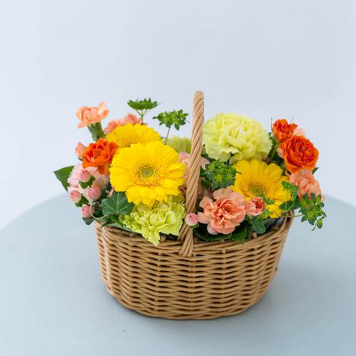 �a�c�Ď��I���W�i�� �o���ƃK�[�x���̃v���~�A���o�X�P�b�g�A�����W�u�t���X�R�v2