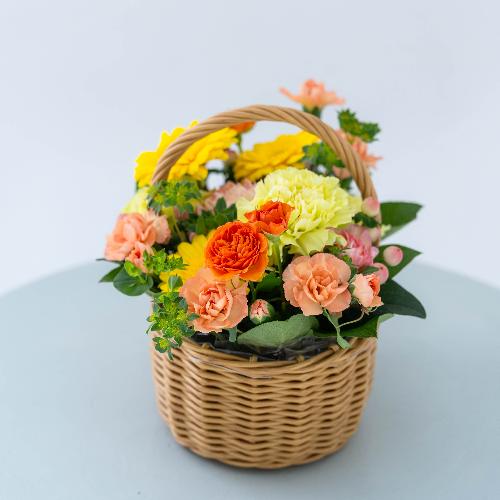 �a�c�Ď��I���W�i�� �o���ƃK�[�x���̃v���~�A���o�X�P�b�g�A�����W�u�t���X�R�v3