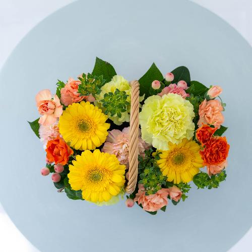 �a�c�Ď��I���W�i�� �o���ƃK�[�x���̃v���~�A���o�X�P�b�g�A�����W�u�t���X�R�v4