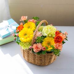 �a�c�Ď��I���W�i�� �o���ƃK�[�x���̃v���~�A���o�X�P�b�g�A�����W�u�t���X�R�v