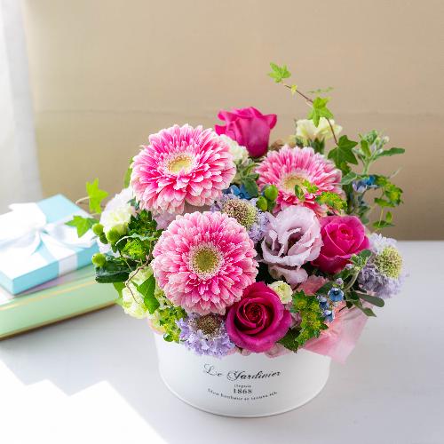 �a�c�Ď��I���W�i�� �o���Ƒ�փK�[�x���̃v���~�A���A�����W�u�p���t�F�v