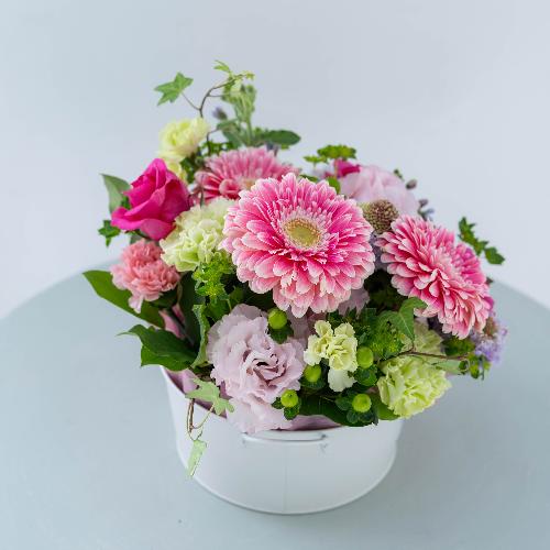 �a�c�Ď��I���W�i�� �o���Ƒ�փK�[�x���̃v���~�A���A�����W�u�p���t�F�v3