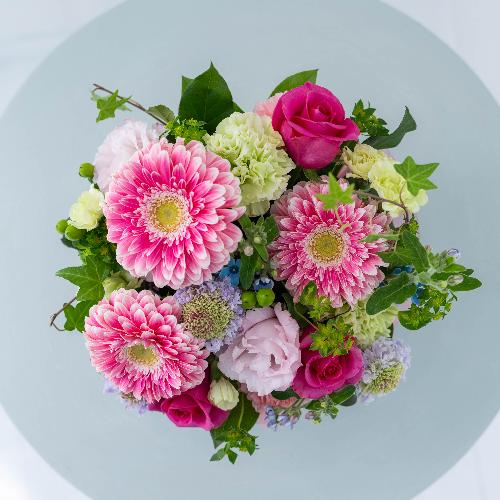 �a�c�Ď��I���W�i�� �o���Ƒ�փK�[�x���̃v���~�A���A�����W�u�p���t�F�v4