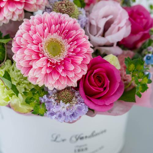 �a�c�Ď��I���W�i�� �o���Ƒ�փK�[�x���̃v���~�A���A�����W�u�p���t�F�v5