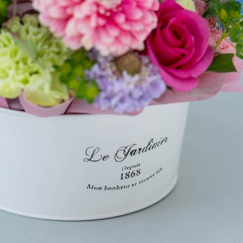 �a�c�Ď��I���W�i�� �o���Ƒ�փK�[�x���̃v���~�A���A�����W�u�p���t�F�v6