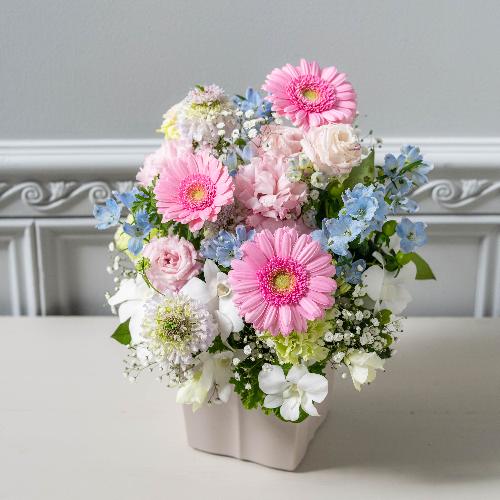 ���ԃA�����W�����g�u�Z���j�e�v���t�̂������v���~�A����