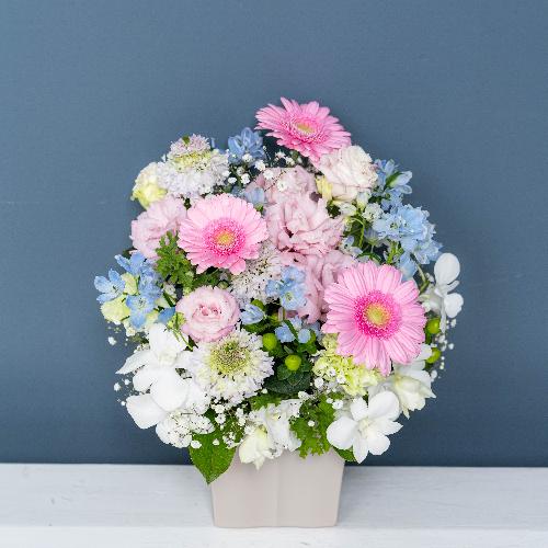 ���ԃA�����W�����g�u�Z���j�e�v���t�̂������v���~�A����2