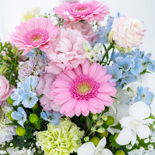 ���ԃA�����W�����g�u�Z���j�e�v���t�̂������v���~�A����4