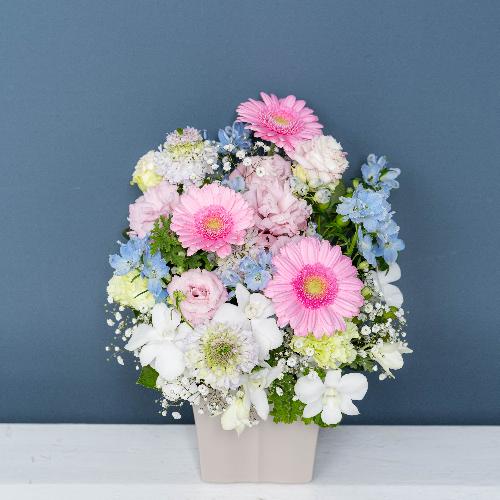 ���ԃA�����W�����g�u�Z���j�e�v�Ɠ��{�����̂������Z�b�g���t�̂������v���~�A����2