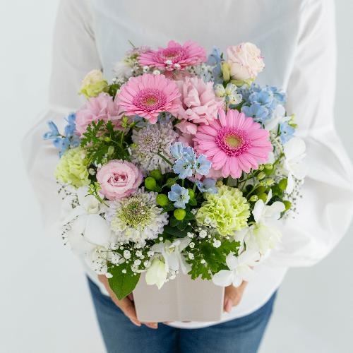 ���ԃA�����W�����g�u�Z���j�e�v�Ɠ��{�����̂������Z�b�g���t�̂������v���~�A����5