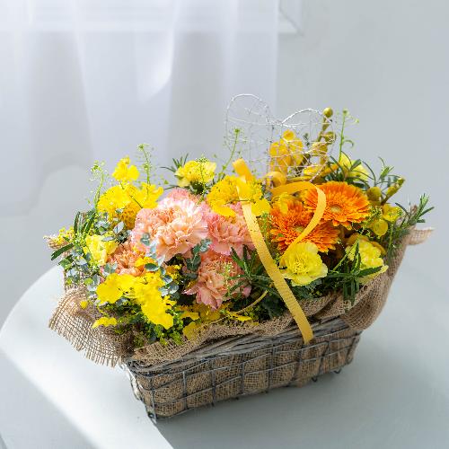 �c� �a�����I���W�i�� ��̓��v���~�A�����ԃA�����W�u�����[�l�v