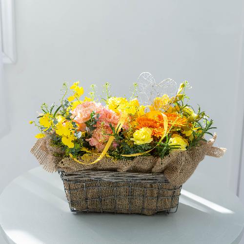 �c� �a�����I���W�i�� ��̓��v���~�A�����ԃA�����W�u�����[�l�v2