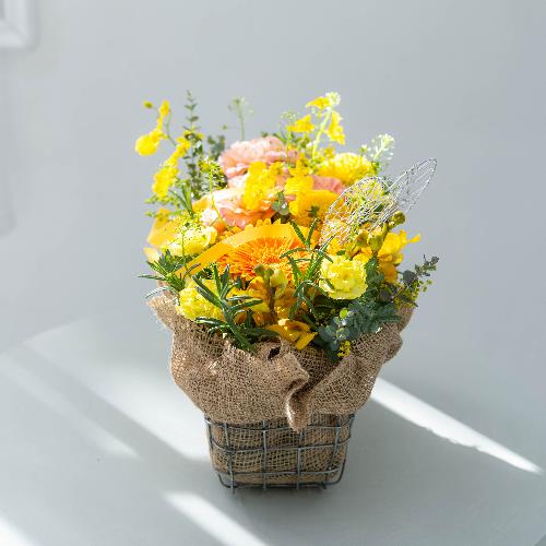 �c� �a�����I���W�i�� ��̓��v���~�A�����ԃA�����W�u�����[�l�v3