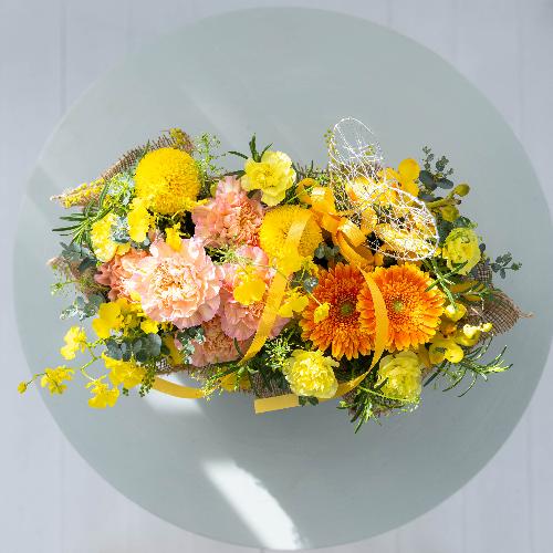 �c� �a�����I���W�i�� ��̓��v���~�A�����ԃA�����W�u�����[�l�v4