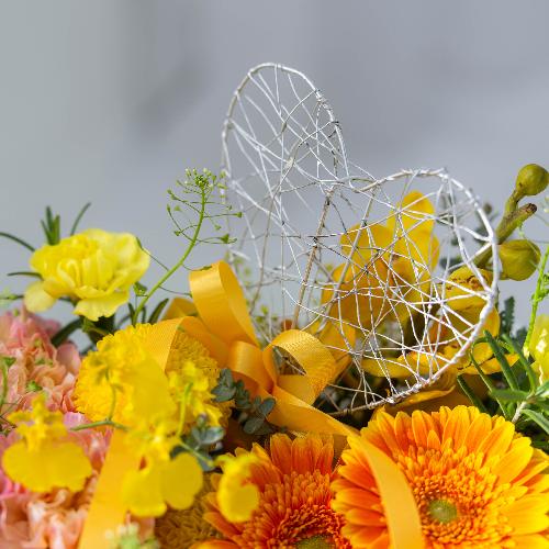 �c� �a�����I���W�i�� ��̓��v���~�A�����ԃA�����W�u�����[�l�v5