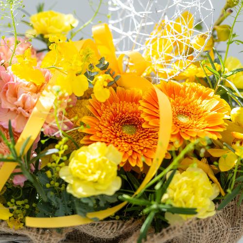 �c� �a�����I���W�i�� ��̓��v���~�A�����ԃA�����W�u�����[�l�v6