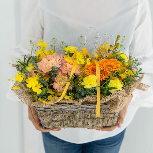 �c� �a�����I���W�i�� ��̓��v���~�A�����ԃA�����W�u�����[�l�v7