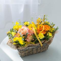 �c� �a�����I���W�i�� ��̓��v���~�A�����ԃA�����W�u�����[�l�v