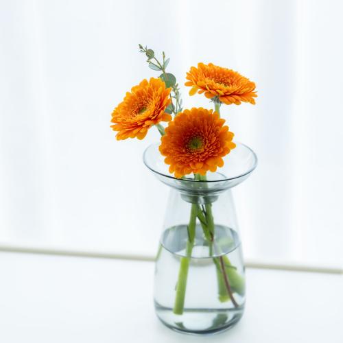 FNS�`�����e�B�L�����y�[���A�����u��]�̃u�[�P�`Love&Hope�v6