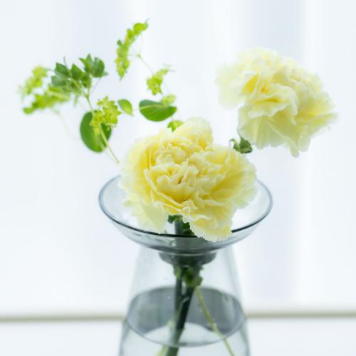 FNS�`�����e�B�L�����y�[���A�����u��]�̃u�[�P�`Love&Hope�v7