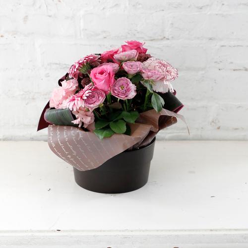 �R����I���W�i�� �o���ƃK�[�x���̃v���~�A���A�����W�u�}�V�F���@�I�[�^�����[�v4