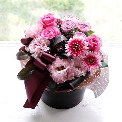 �R����I���W�i�� �o���ƃK�[�x���̃v���~�A���A�����W�u�}�V�F���@�I�[�^�����[�v