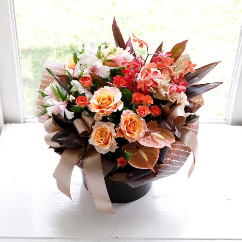 �R����I���W�i�� �o���ƃ��J���̃v���~�A���A�����W�u�A���u���v