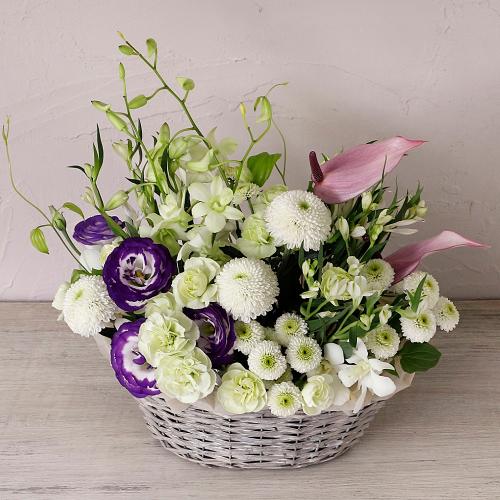 �H�̂������v���~�A���A�����W�u�����i������j�v