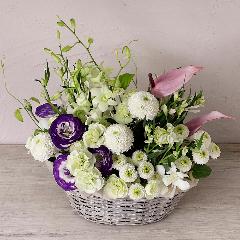 �H�̂������v���~�A���A�����W�u�����i������j�v