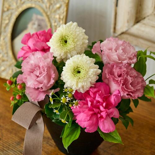 �y�b�g�����̃������A���t�����[�u���̌������ցi�s���N�n�j�v4