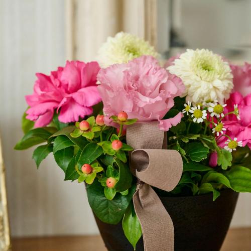 �y�b�g�����̃������A���t�����[�u���̌������ցi�s���N�n�j�v5