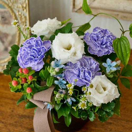 �y�b�g�����̃������A���t�����[�u���̌������ցi�u���[�n�j�v4
