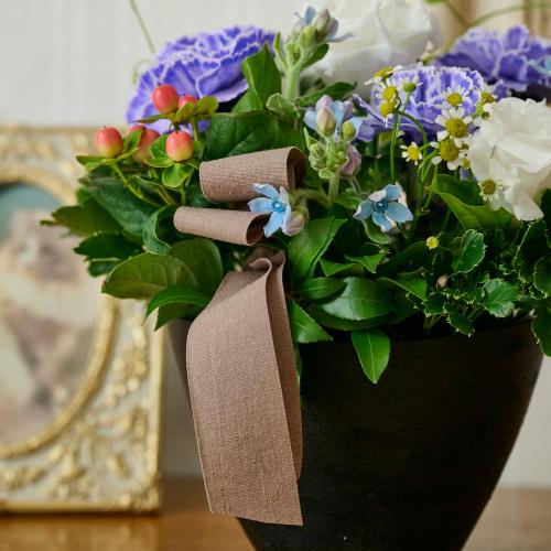 �y�b�g�����̃������A���t�����[�u���̌������ցi�u���[�n�j�v6