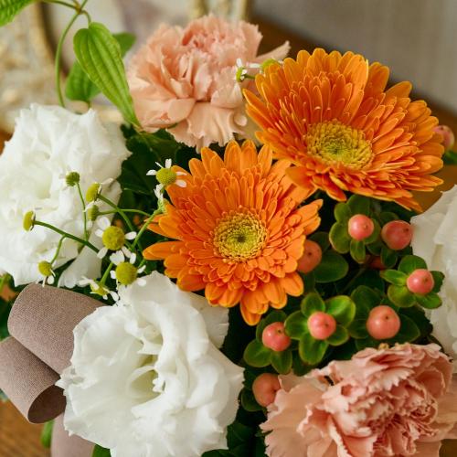 �y�b�g�����̃������A���t�����[�u���̌������ցi�I�����W�n�j�v5