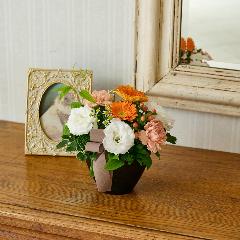 �y�b�g�����̃������A���t�����[�u���̌������ցi�I�����W�n�j�v