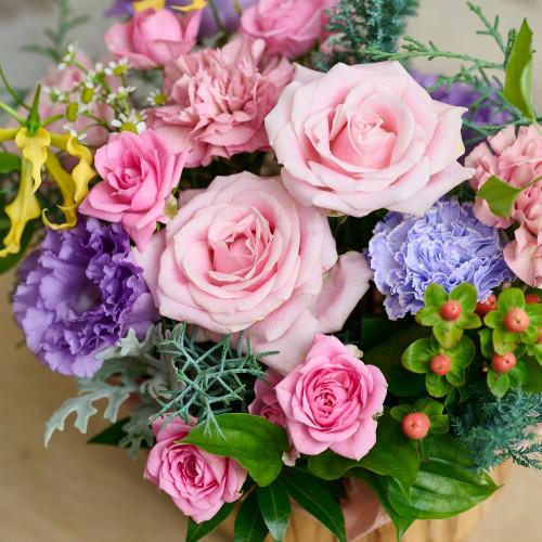 �����퐶���I���W�i�� �o���ƃg���R�L�L���E�̃v���~�A���A�����W�u�t���[���p���b�g�v5