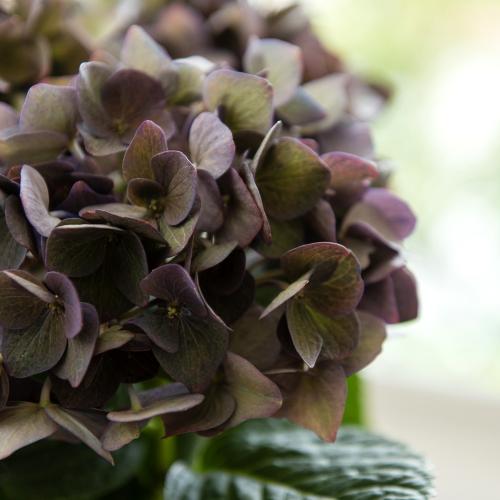 �yGW���͂��z�ЂƖڌ�����Y����Ȃ��A�W�T�C�u�f�B�[�v�p�[�v���v�y��̓��M�t�g�z6