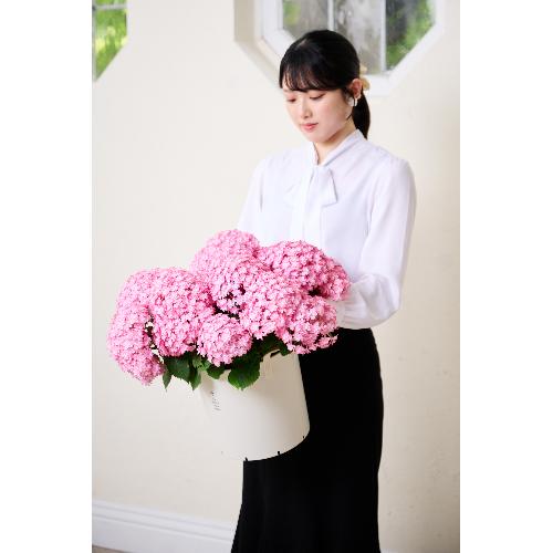 �y��̓��M�t�g�z���������u���i�v�唫4